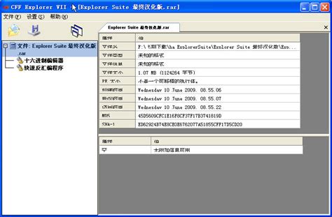 CFF Explorer VIII 汉化绿色版v8.0 .